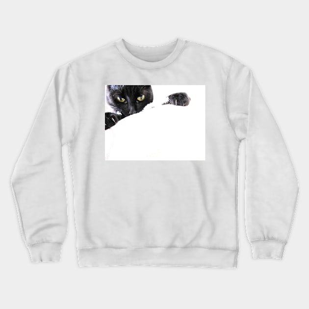 Holding On Crewneck Sweatshirt by Ladymoose